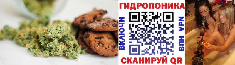 Canna-Cookies марихуана  Соль-Илецк 