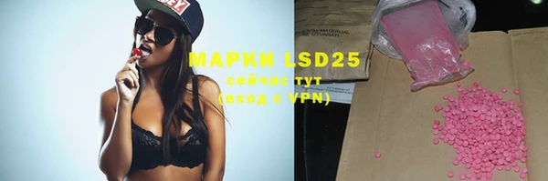 ПСИЛОЦИБИНОВЫЕ ГРИБЫ Балабаново